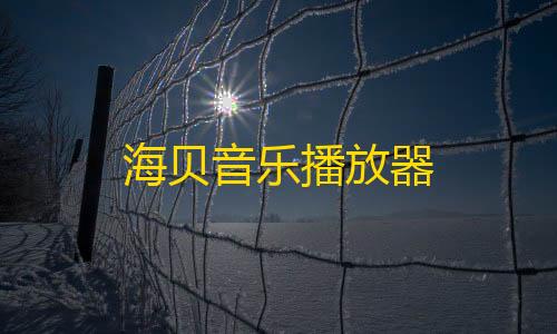 和平精英科技开挂永久安卓海贝音乐播放器